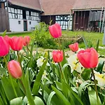 Corps De Ferme Alsacien Grassendorf