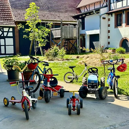 Corps De Ferme Alsacien Casa vacanze