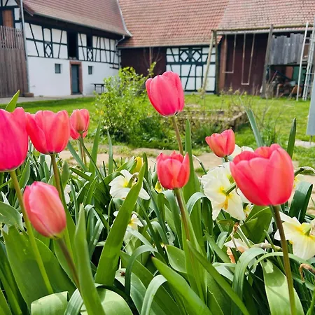 Corps De Ferme Alsacien Grassendorf
