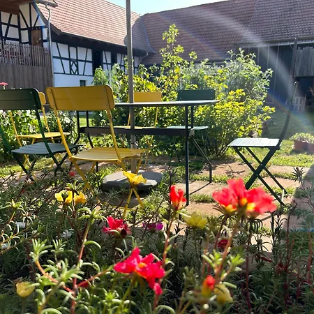 Corps De Ferme Alsacien Holiday home *