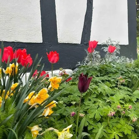 Corps De Ferme Alsacien Semesterbostad Grassendorf