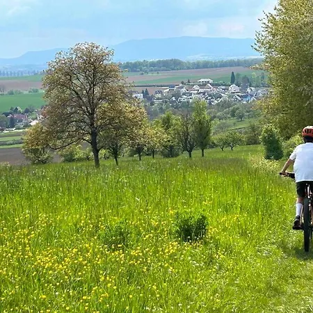 Corps De Ferme Alsacien Holiday home *