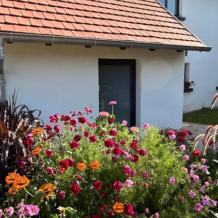 Holiday home Corps De Ferme Alsacien