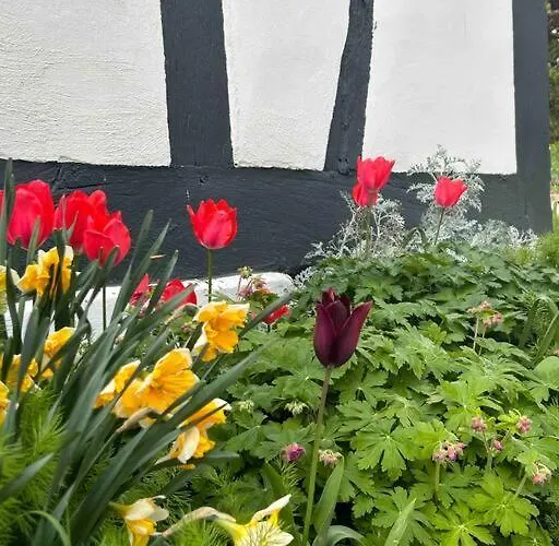 Corps De Ferme Alsacien Hébergement de vacances Grassendorf