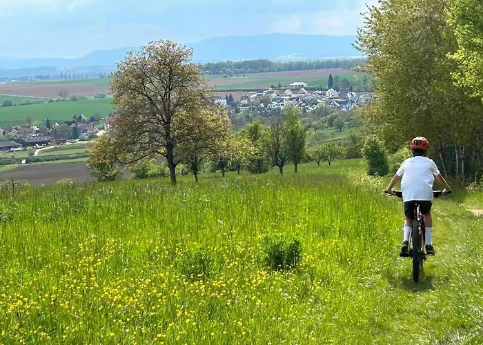 Corps De Ferme Alsacien Hébergement de vacances *