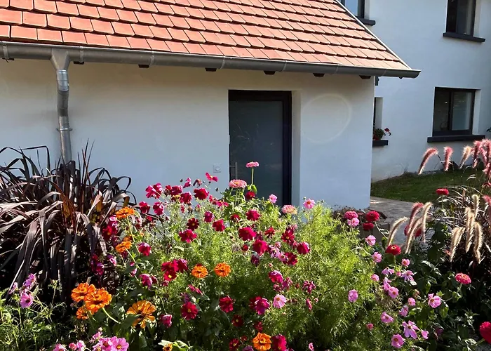 Casa de Férias Corps De Ferme Alsacien